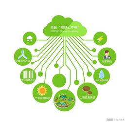 物联网技术下的烟台大樱桃 智慧农业的甜蜜革命
